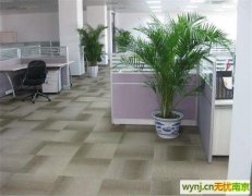 南京专业单位写字楼办公室公司地毯清洗 吸尘 除螨消毒 服务电