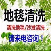 南京正规洗地毯公司 南京专业地毯清洗消毒养护 南京地毯清洗2